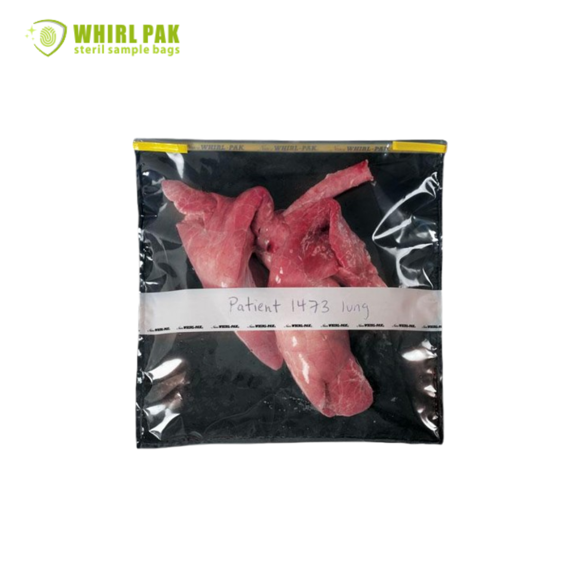 Distributor Nasco Whirlpak Bogor  B01445